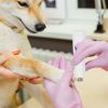 Dog Nail Grinder Pet Nail Trimmer Cordless Paws Grooming Smoothing Claw Care For Small Medium Large Dogs Cats